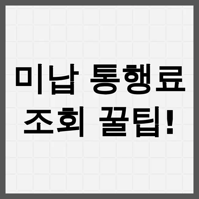 고속도로통행료미납조회