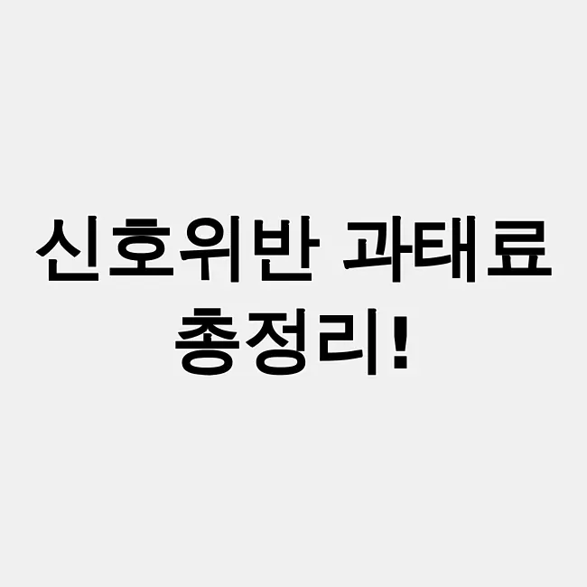 신호위반 과태료