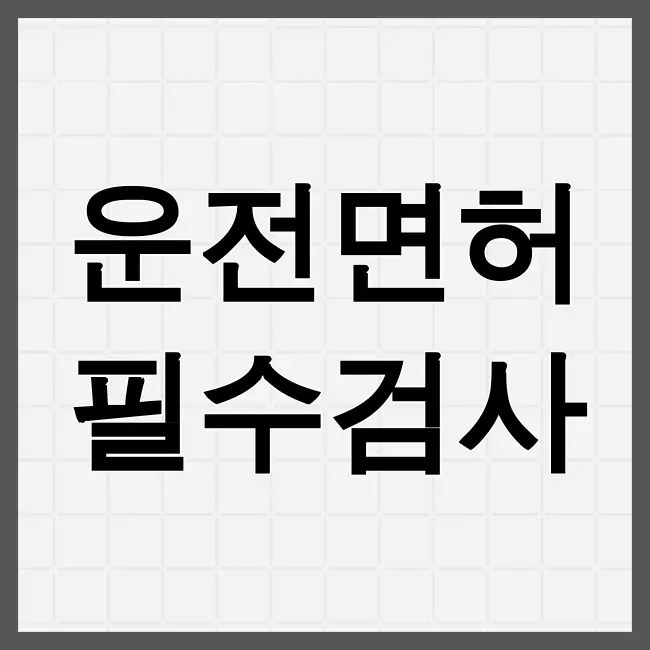 운전면허적성검사